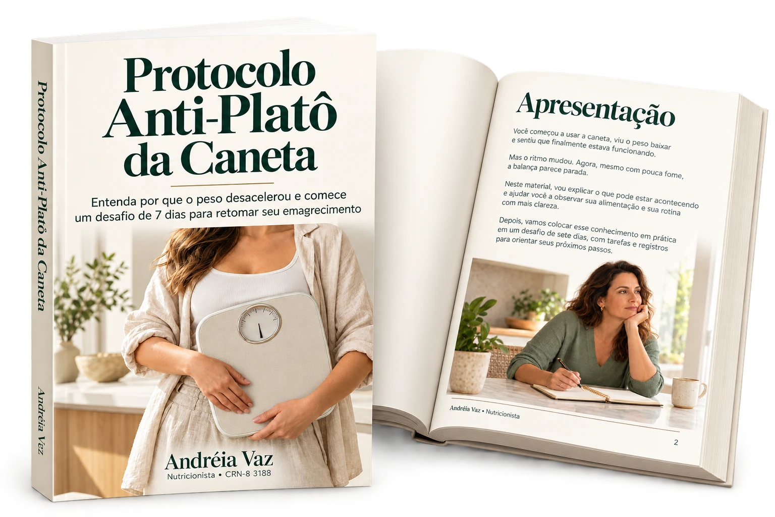 Capa e página interna do Protocolo Anti-Platô da Caneta, de Andréia Vaz